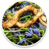 ingredients of Sumatra Slim Belly Tonic